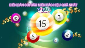 Diễn đàn soi cầu xổ số miền Bắc lớn nhất hiện nay