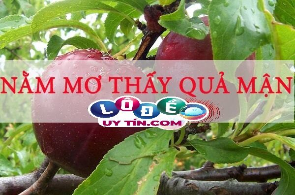 Chiêm bao mơ thấy quả mận đánh con gì? Giải mã điềm báo