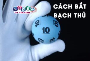 Tổng hợp số bạch thủ lô vip chính xác từ các chuyên gia 