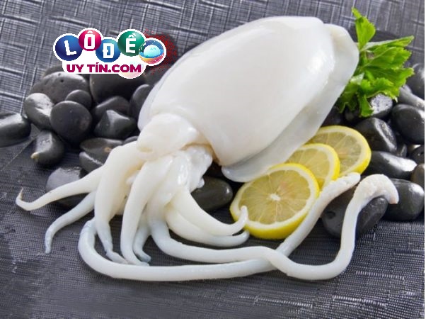 Chiêm bao mơ thấy con mực - Nằm mơ thấy mực đánh số đề gì?