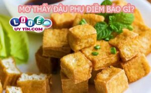 Giải mộng giấc mơ thấy đậu phụ có ý nghĩa gì? Bắt con gì?