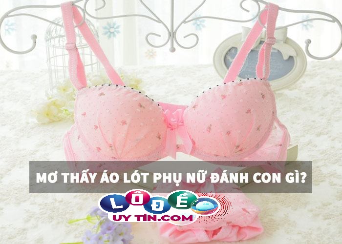 Giải mã giấc mơ - Mơ thấy áo lót phụ nữ đánh con gì?
