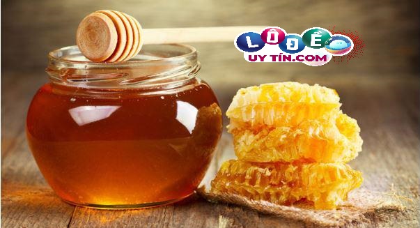 Giải mã ngủ mơ thấy mật ong đánh lô đề con gì dễ trúng?