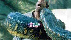 Mơ thấy rắn khổng lồ là điềm gì, đánh con số gì?