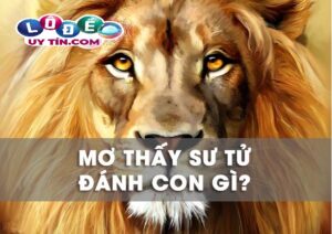 Giải mã mơ thấy sư tử đánh con nào chính xác nhất