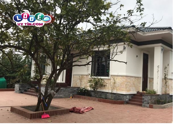 Chiêm bao mơ thấy ở trong căn nhà lạ - Điềm báo về giấc mơ?