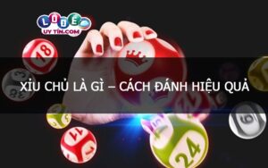 Dự đoán xỉu chủ miền Bắc hôm nay với độ chính xác cao