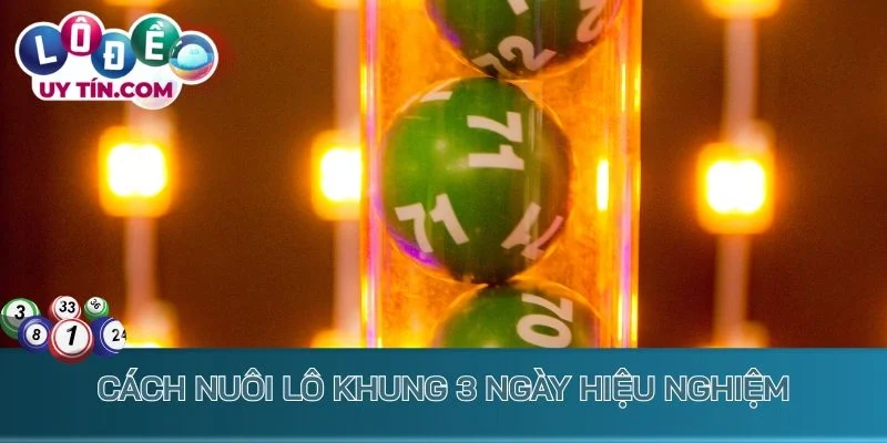 Cách nuôi lô khung 3 ngày hiệu nghiệm