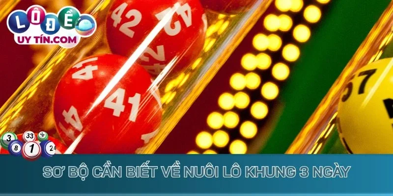 Sơ bộ cần biết về nuôi lô khung 3 ngày